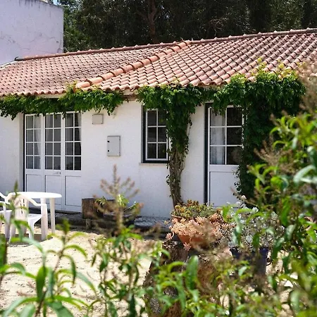 Quinta Maria Gil - B Lourinhã