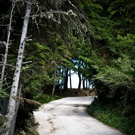 Quinta Maria Gil - B Apartament *