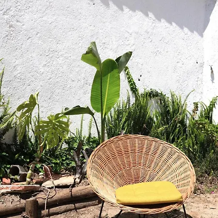 Apartament Quinta Maria Gil - B *