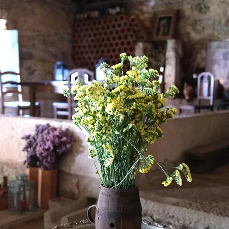 Apartament Quinta Maria Gil - B *